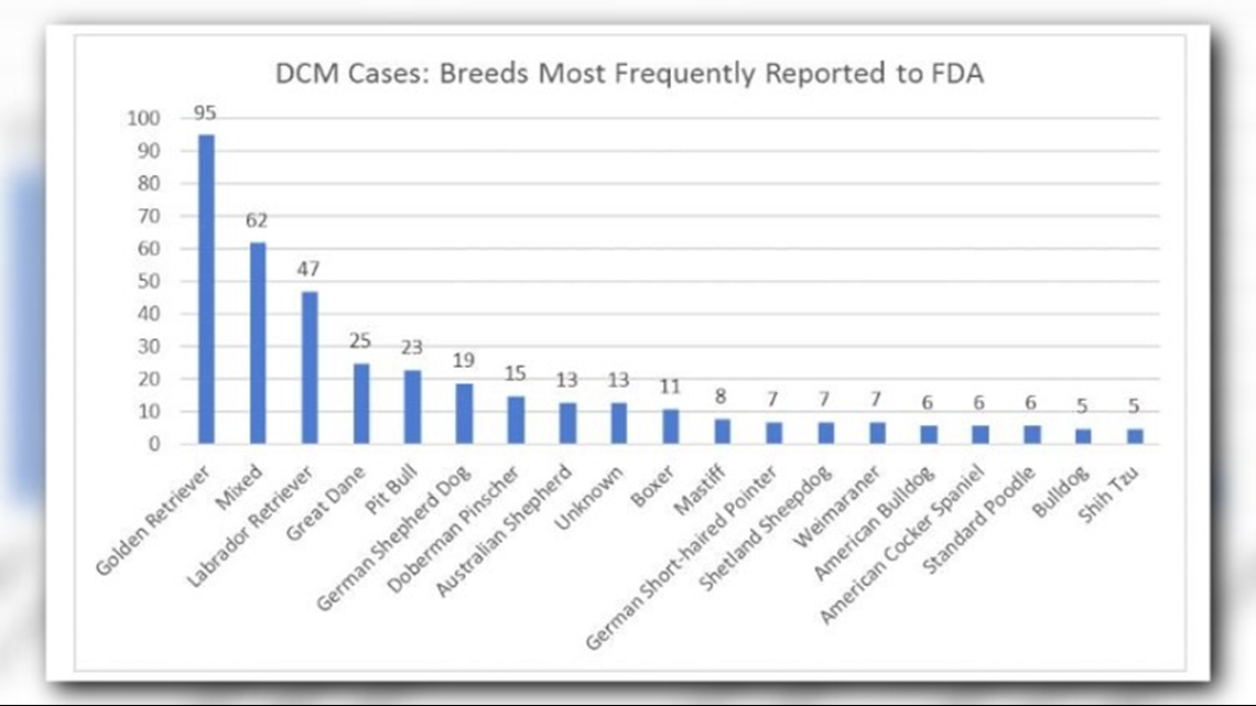 FDA investigating grain free diets and heart failure in dogs