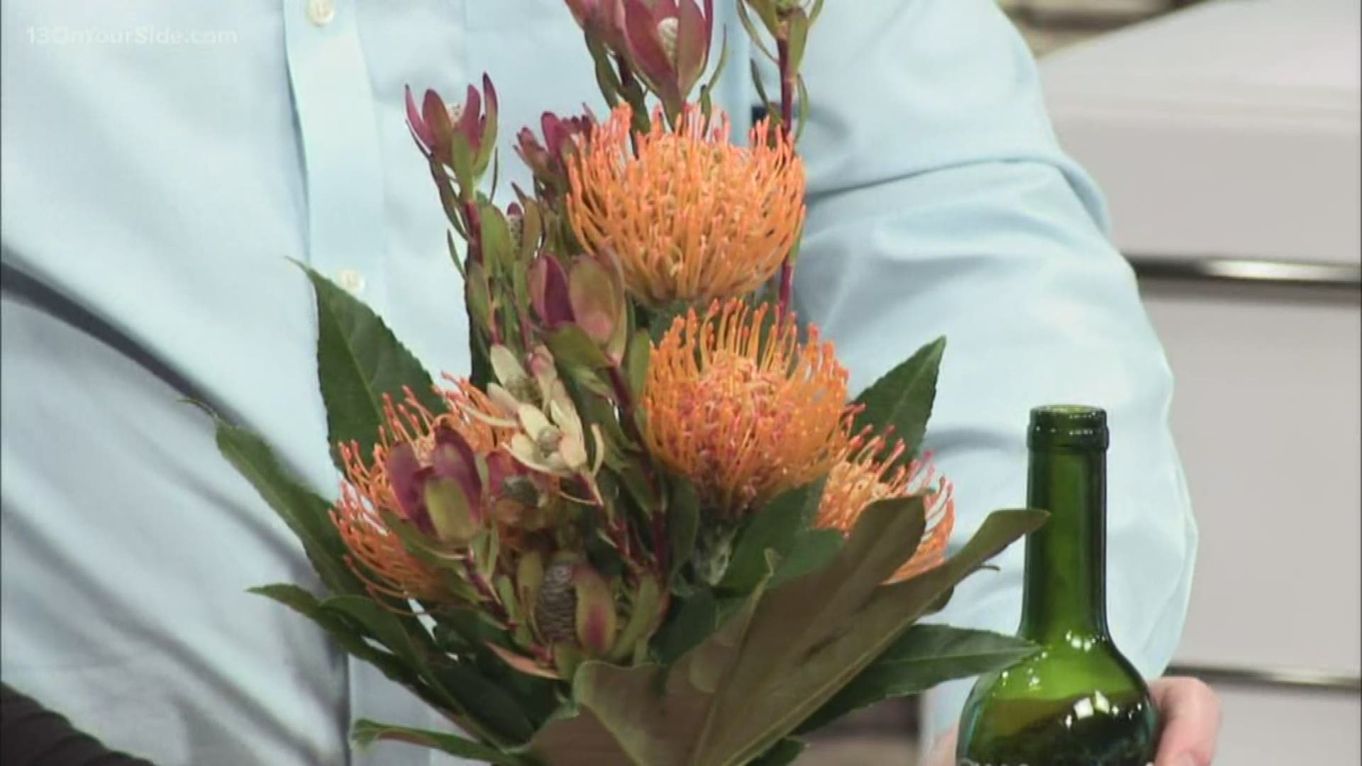 If you're looking to add some flower power to your crafting projects, look no further than the protea!

J Schwanke from UBloom.com stopped by to show us how to use the protea to add a splash of color to your home.
