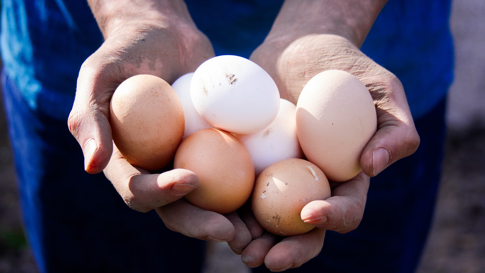 13 On Your Side's Josh Alburtus talked with a local egg producer today about the rise in prices and their effort to keep eggs affordable.