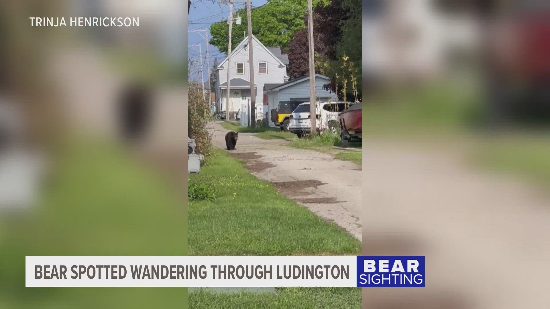 After the bear safely made it home, officials say people should stay out of the way and keep their distance from a bear spotted in an urban setting.
