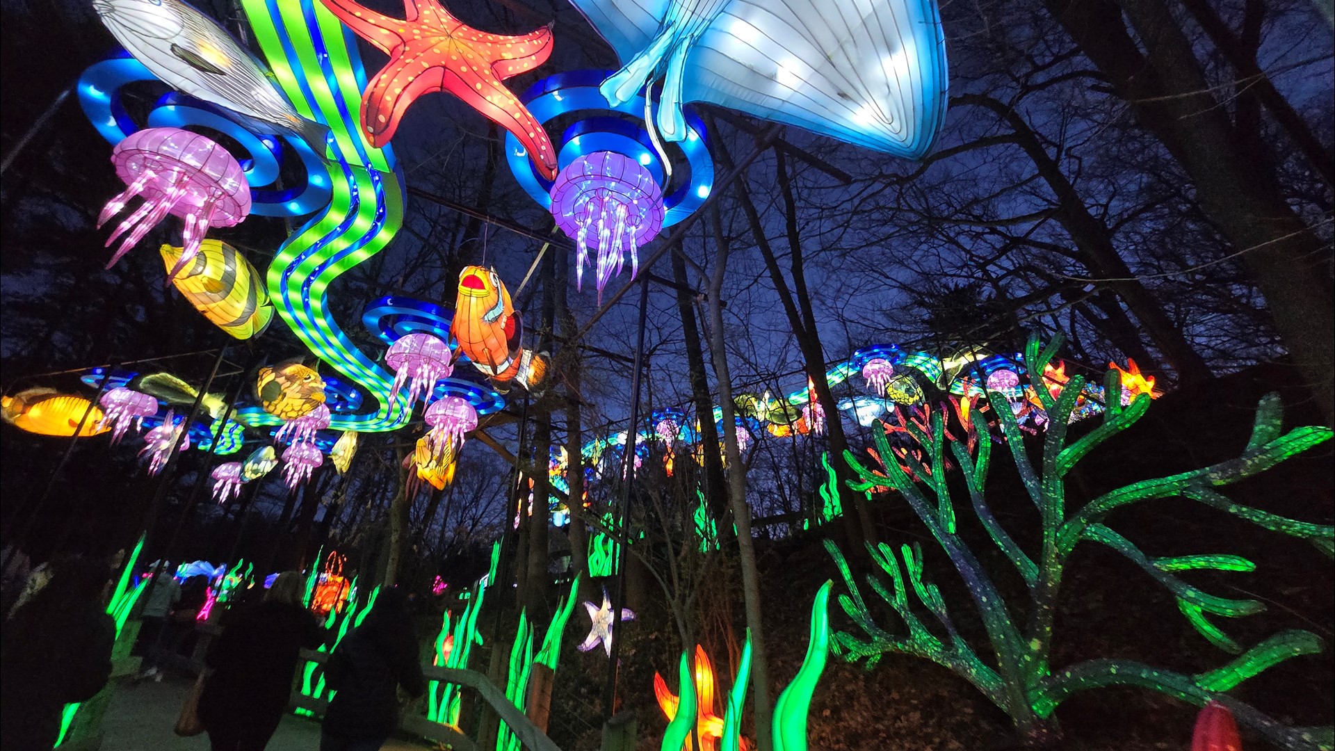 John Ball Zoo Lantern Festival adds more dates due to demand