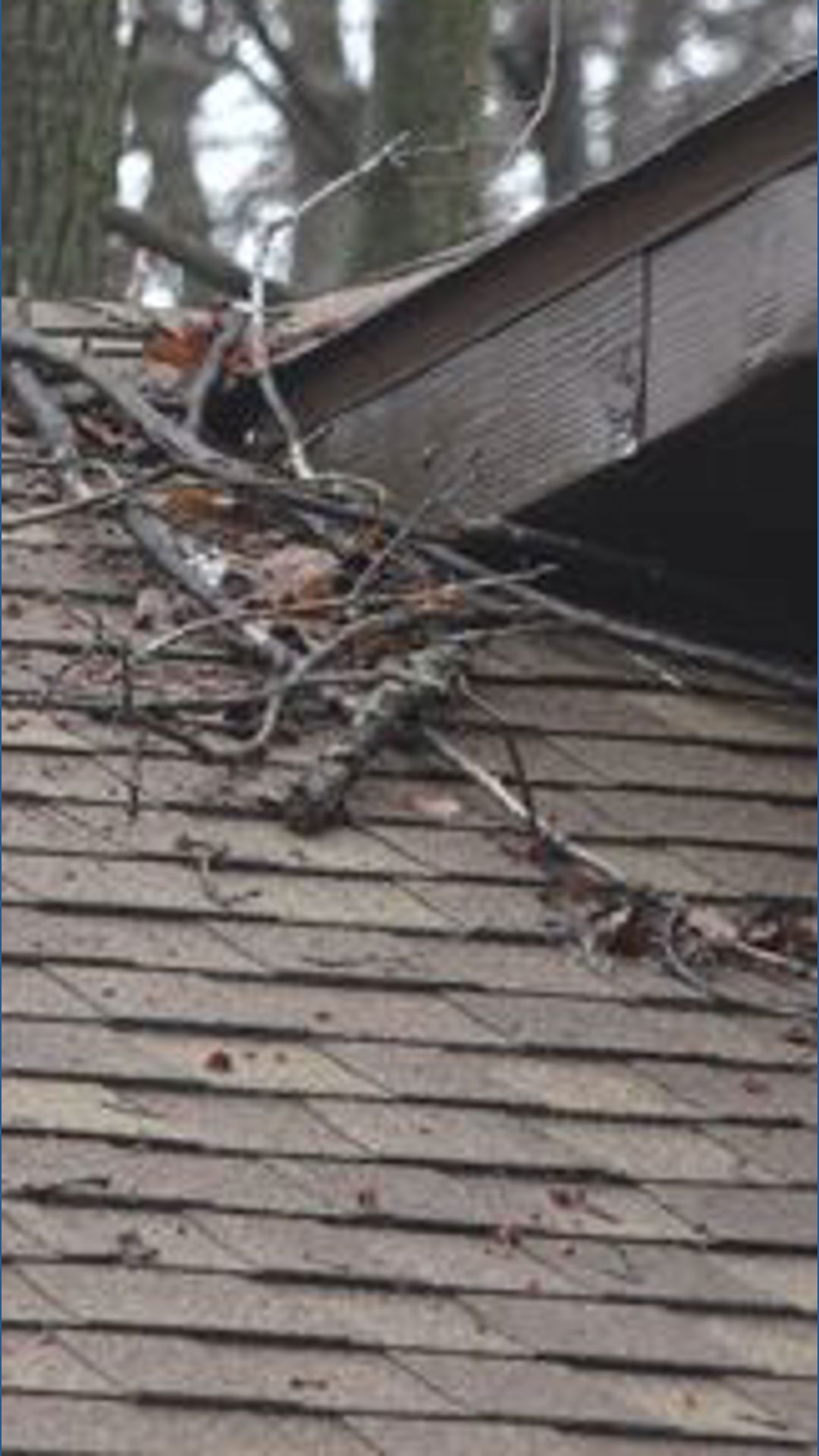 Severe storms in West Michigan leave homes damaged by hail; residents ...