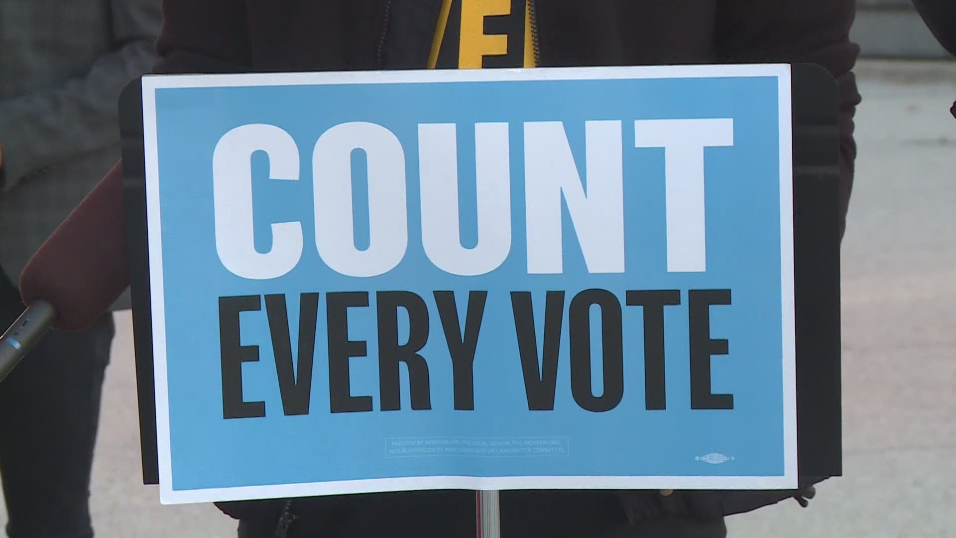 The group marched from Rosa Parks Circle to Calder Plaza saying that democracy takes time and they want to make sure every voter is heard.