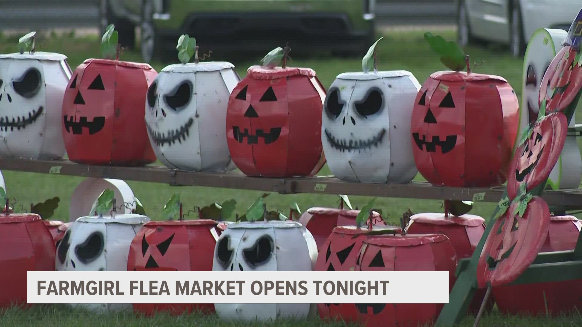 The popular flea market returns to the Hudsonville Fairgrounds on Friday and Saturday for two days of thrifting.