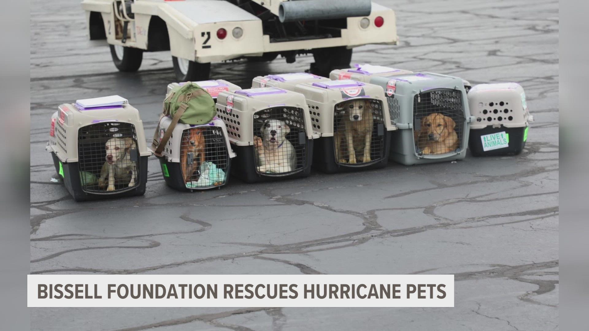 The organization is flying more than 100 pets to New York. A local pilot was asked to fly them to safety after road closures scrapped their driving plan.