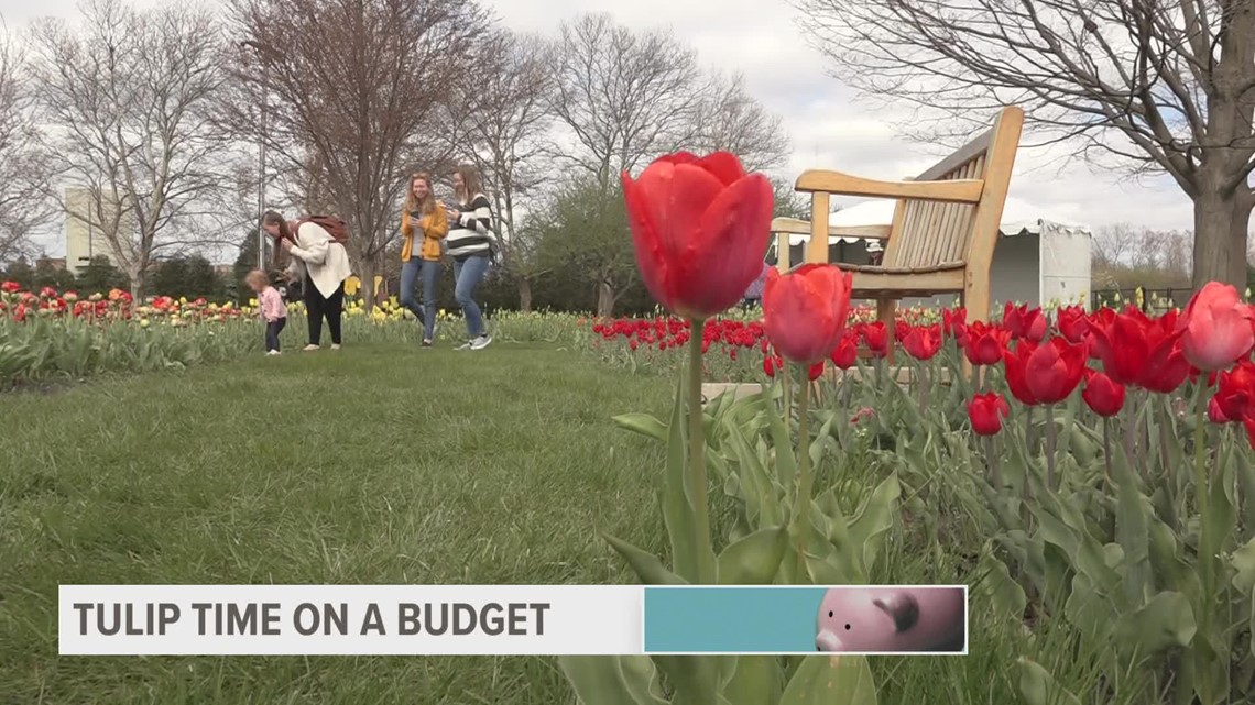 Money Guide: How to enjoy Tulip Time without breaking the bank
