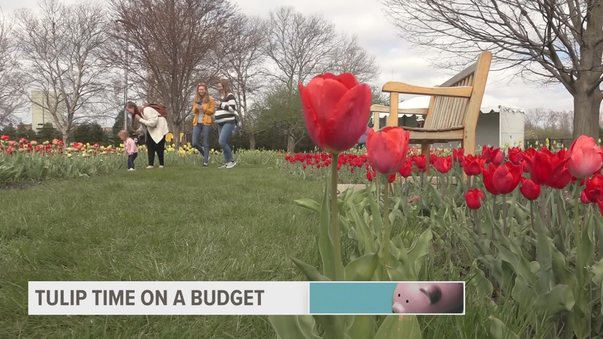 Some Tulip Time events require a ticket, but today we’re showing you how to enjoy the festival on a budget.