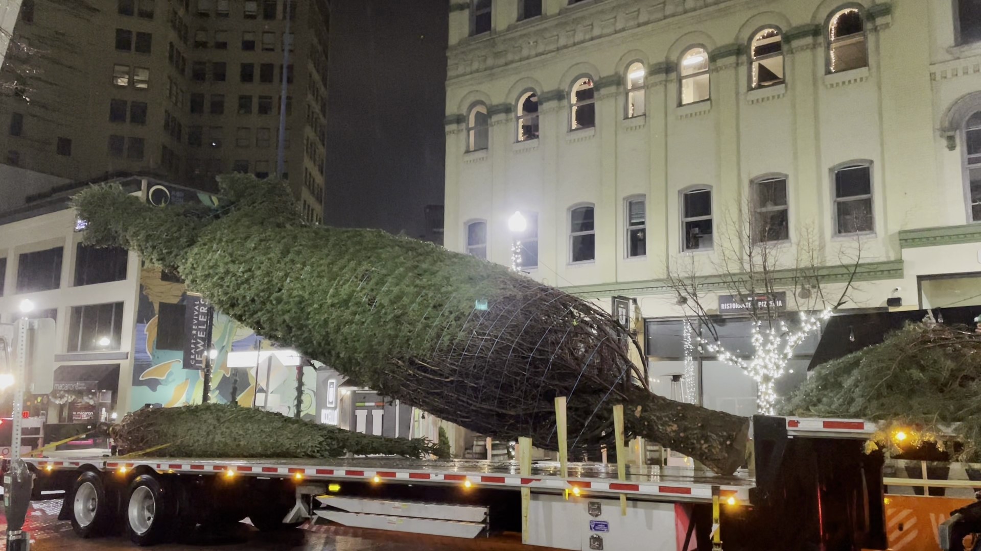 The tree was installed in Rosa Parks Circle Tuesday morning.