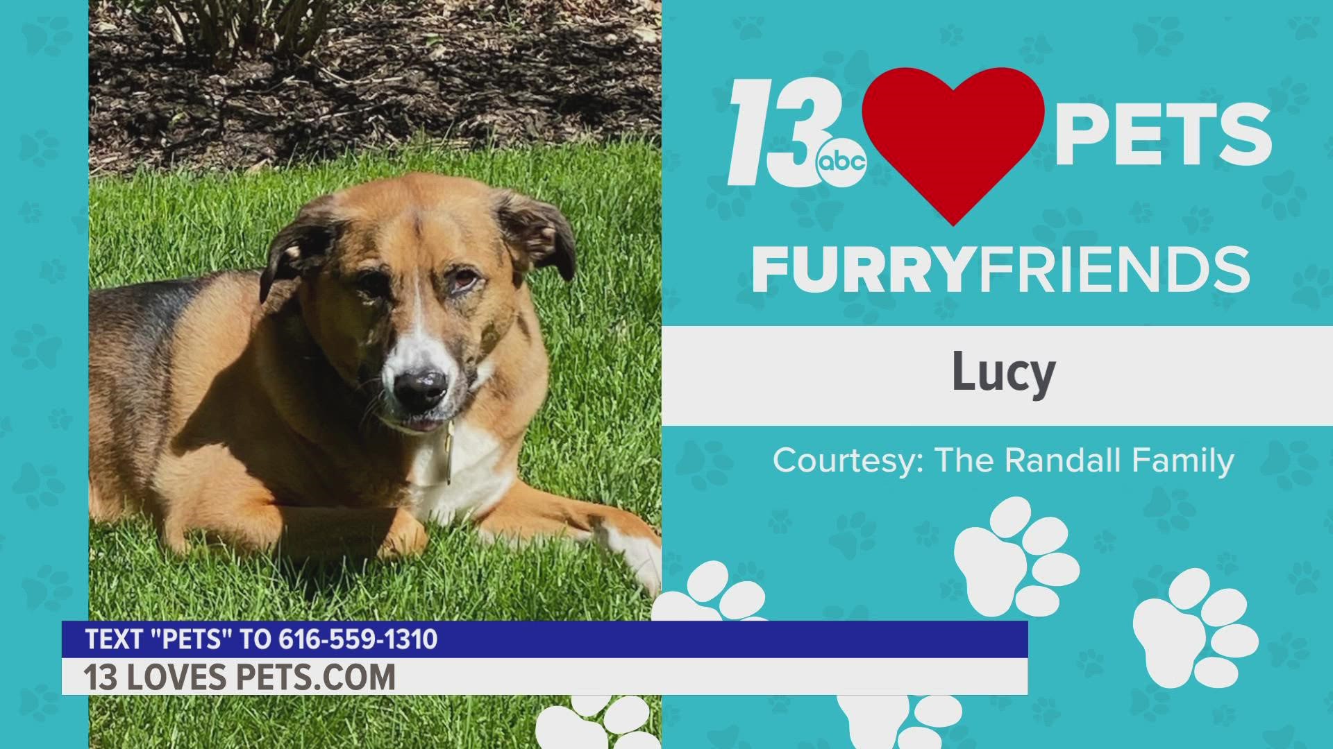 Furry Friends: July 14, 2022 | Lucy and Bella 