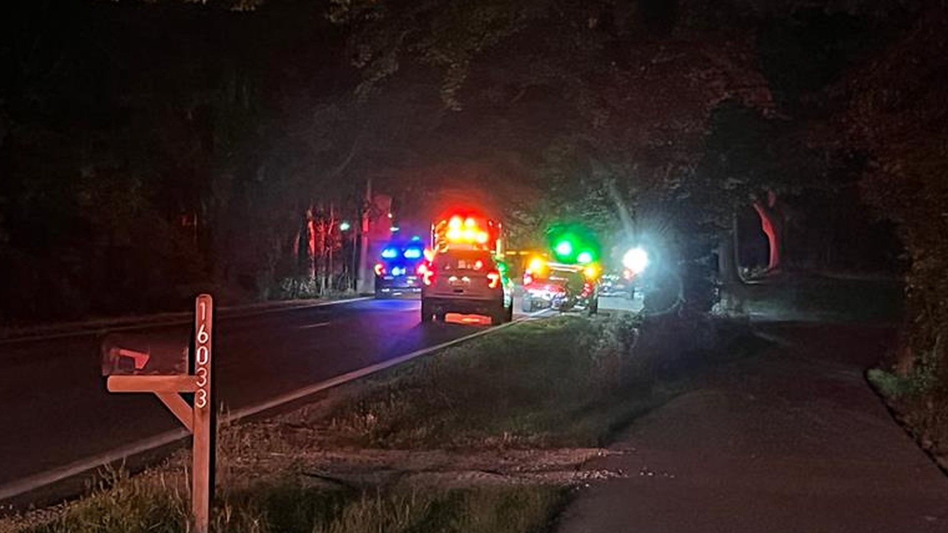 Police say the 16-year-old was driving on Riley Street when he lost control of the car, leaving the road and hitting several trees.