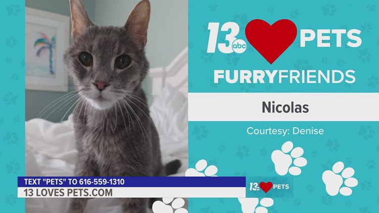 Furry Friends:  February 1, 2023 | Nicolas and Saela