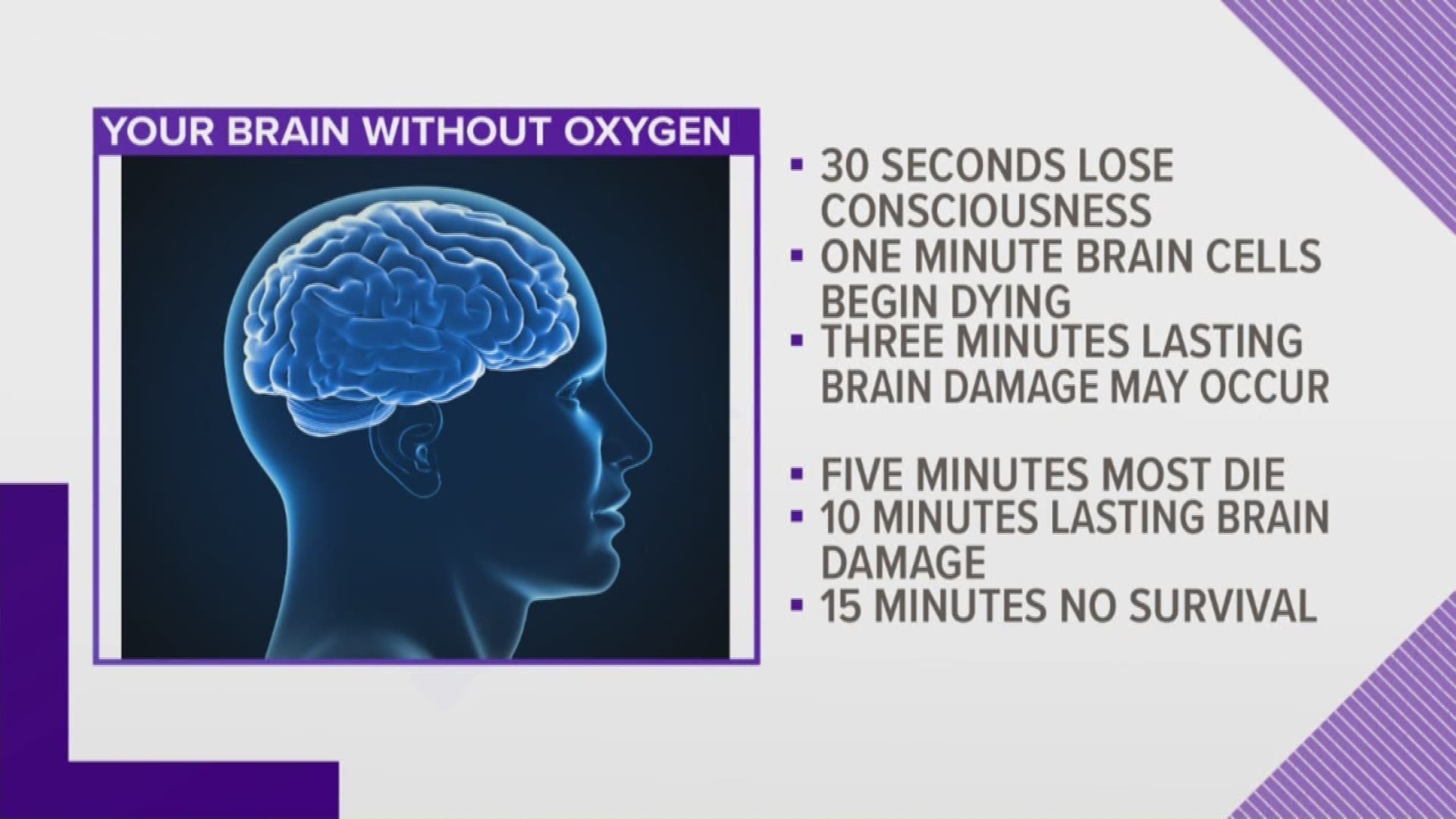 your-brain-on-oxygen-how-long-can-it-live-without-it-wzzm13