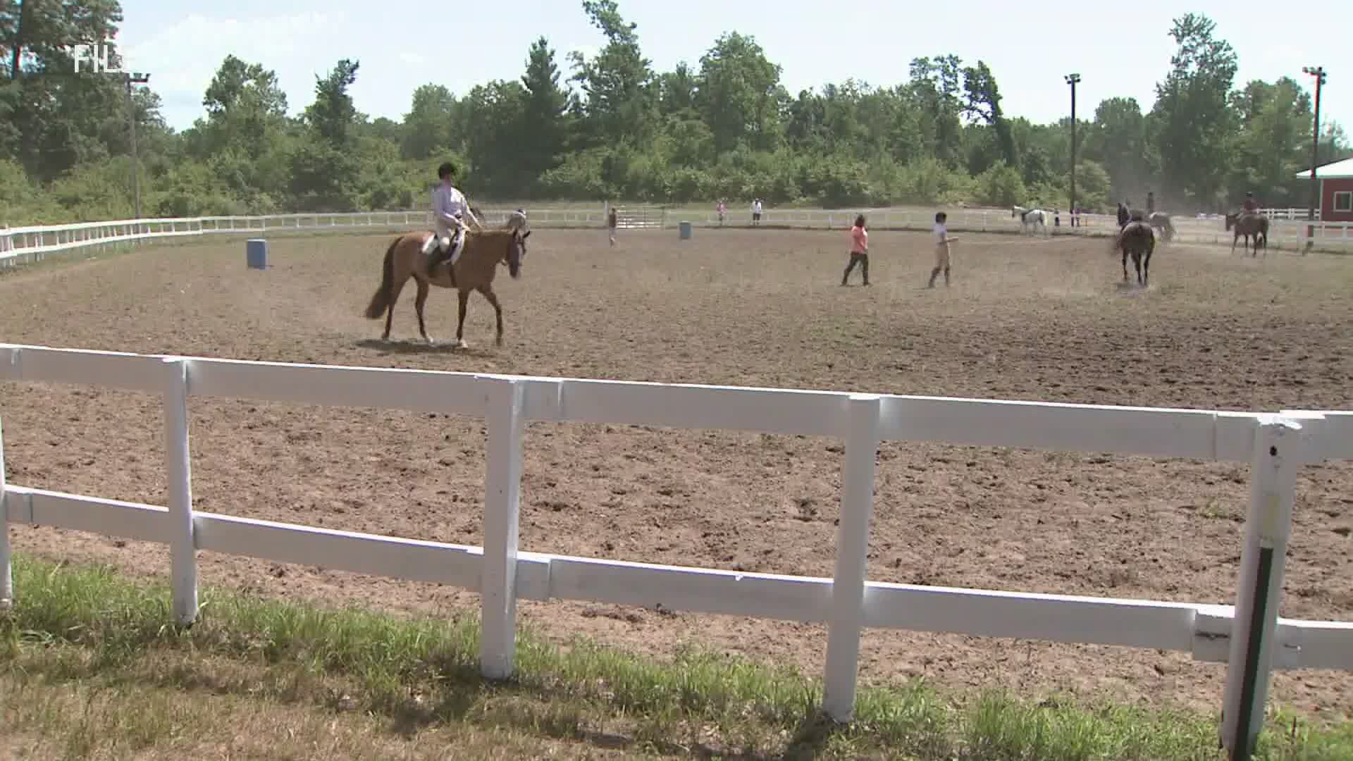 MDARD is urging horse owners to vaccinate their animals.