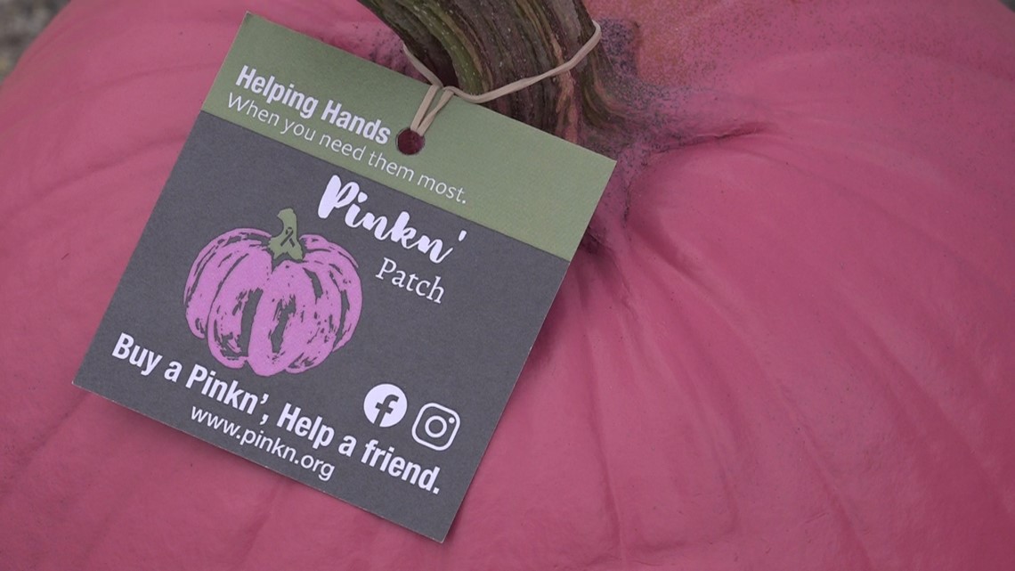 Grand Rapids breast cancer non-profit's warehouse burglarized - Vimarsana News