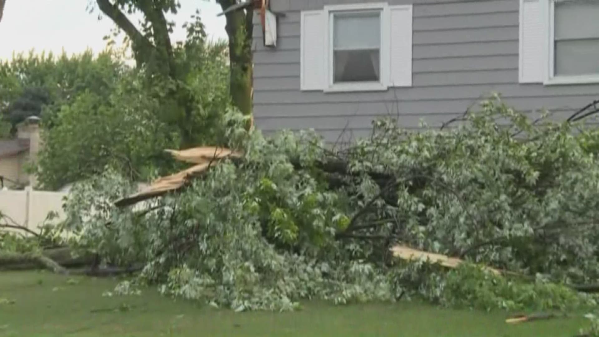 Debris was strewn across the roads throughout West Michigan as well as the yards of many residents.