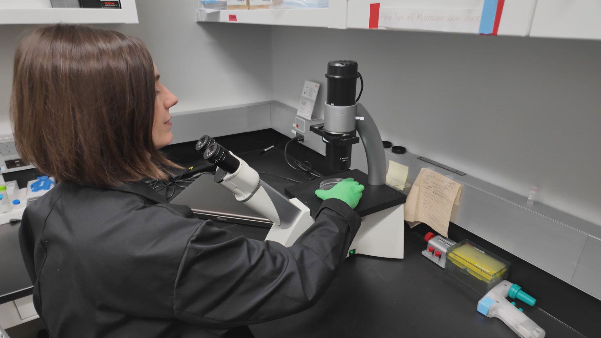 MSU researcher fears cancer studies risk halt due to Trump's proposed funding freeze.