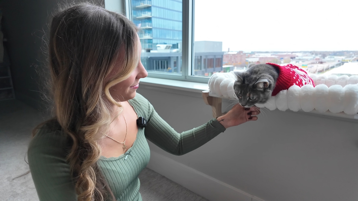 S-Curve Kitty' is TikTok's newest obsession | wzzm13.com