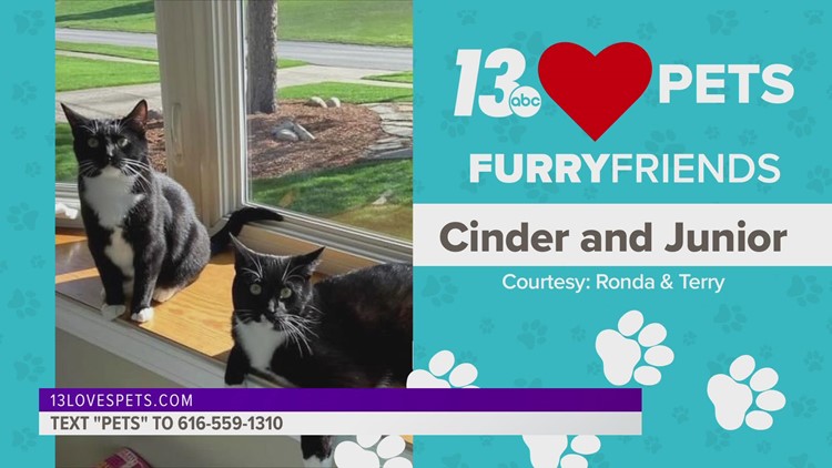 Furry Friends:  June 7, 2022 | Reba and Cinder & Junior