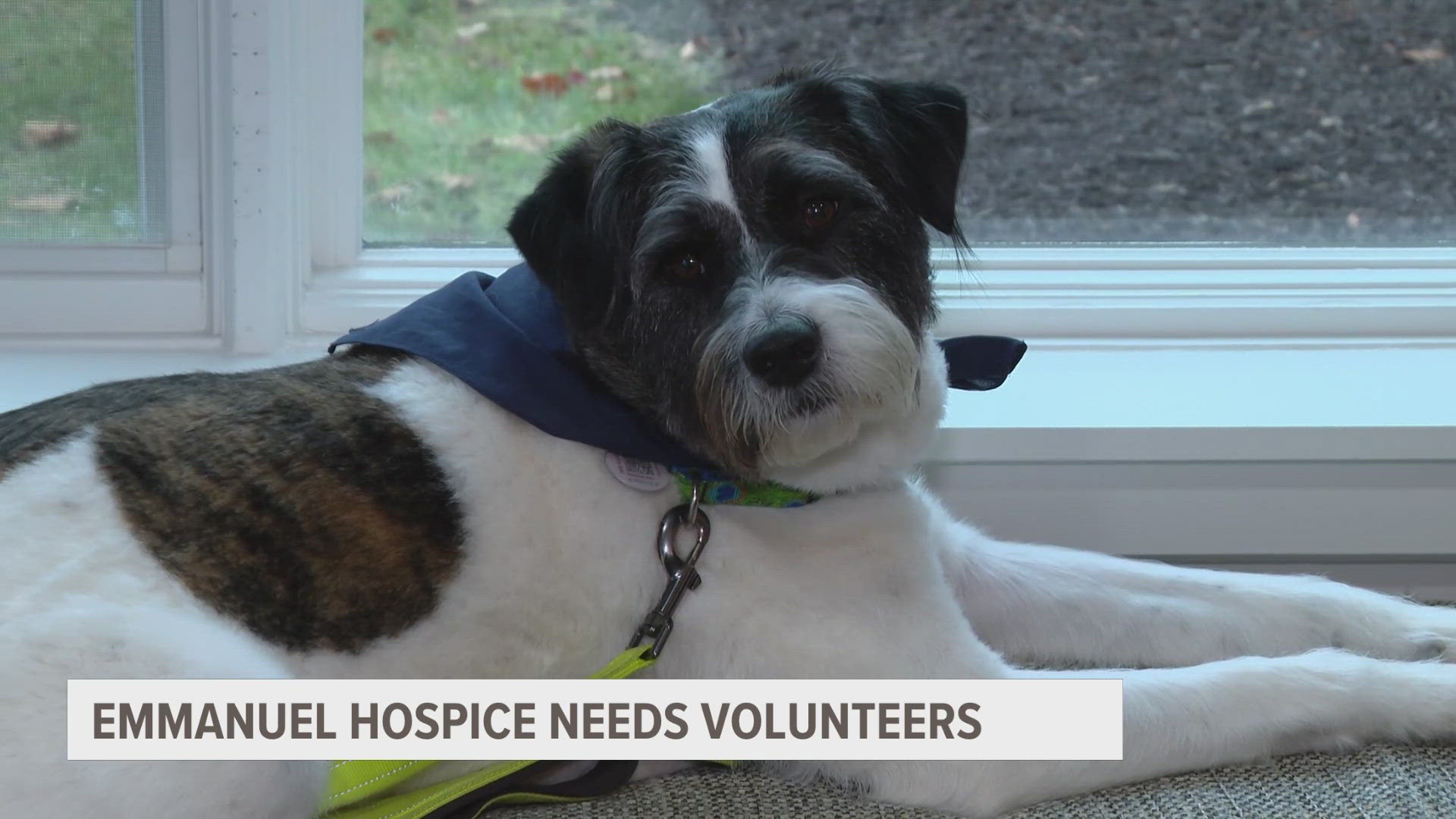 Growing demand for hospice care is creating the need for volunteers and therapy pets to comfort patients.