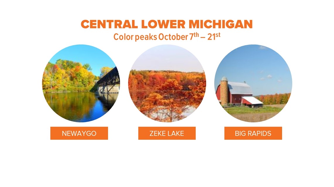 Michigan Fall Color Map 2024 Cynde Charlena