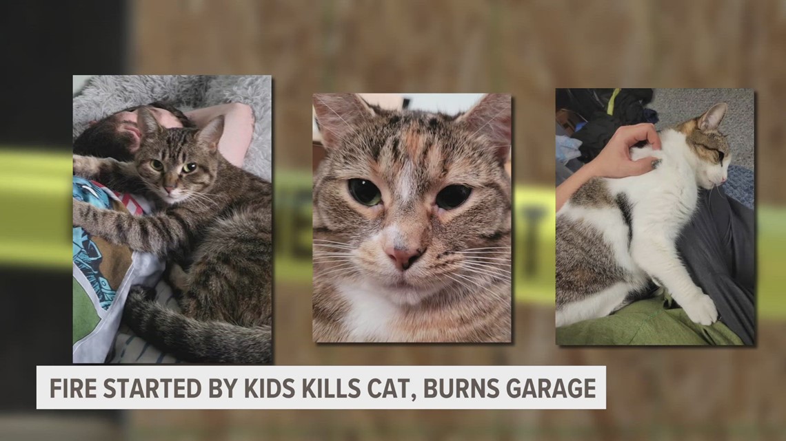 Wyoming woman loses family cat in garage fire started by neighbor boys