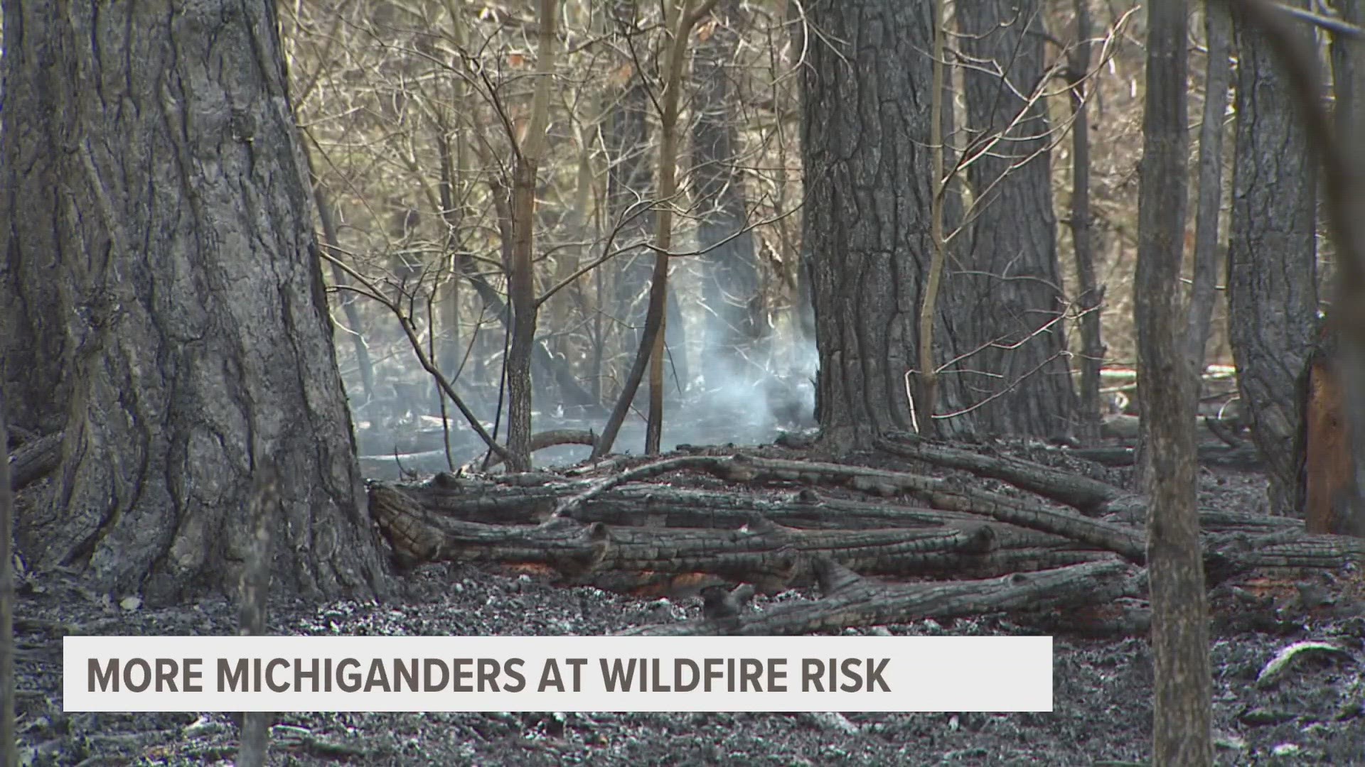 More Michiganders at wildfire risk