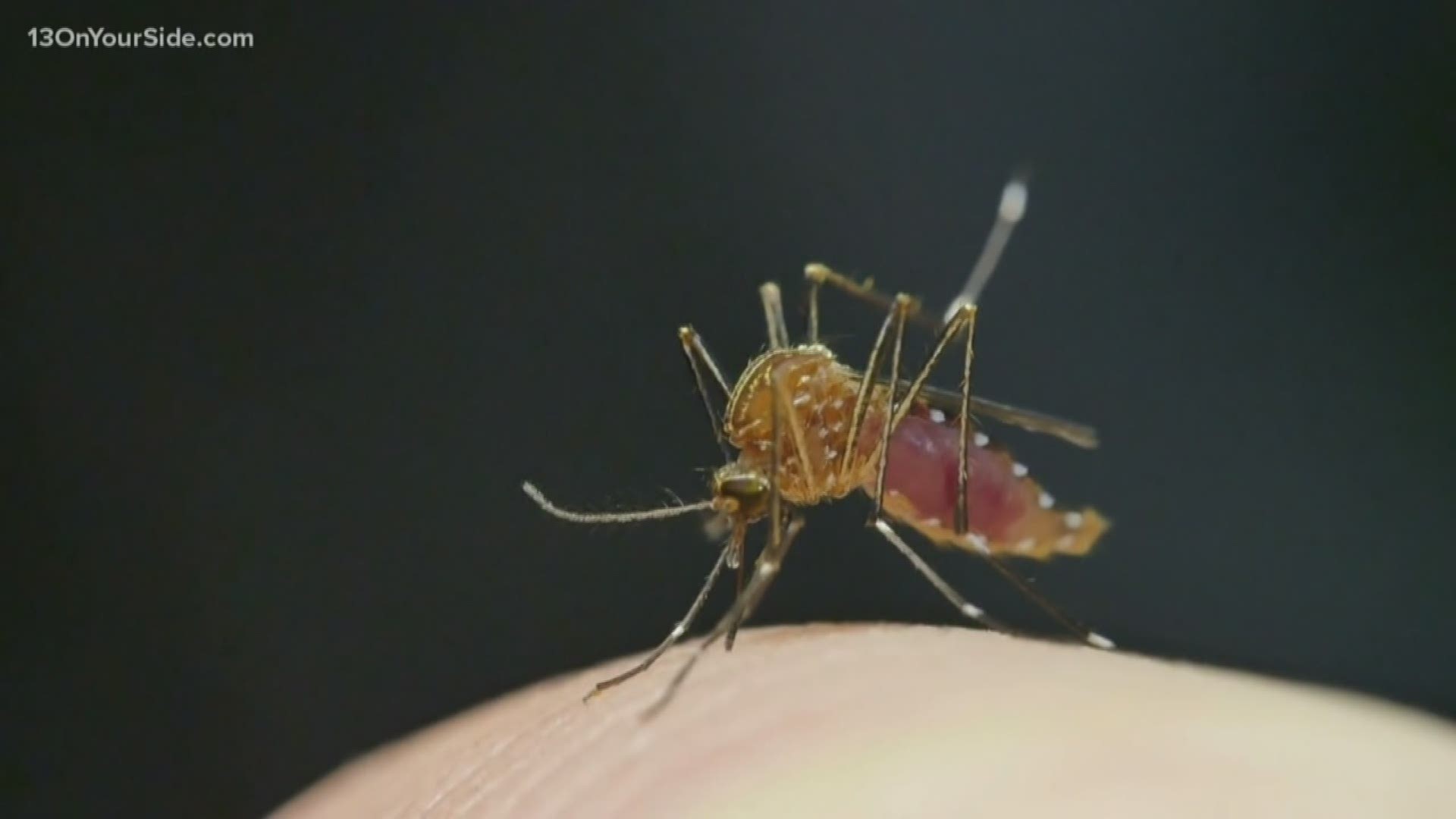 The Kent County Health Department does not want you to panic or worry about any and every mosquito bite you may currently be scratching.