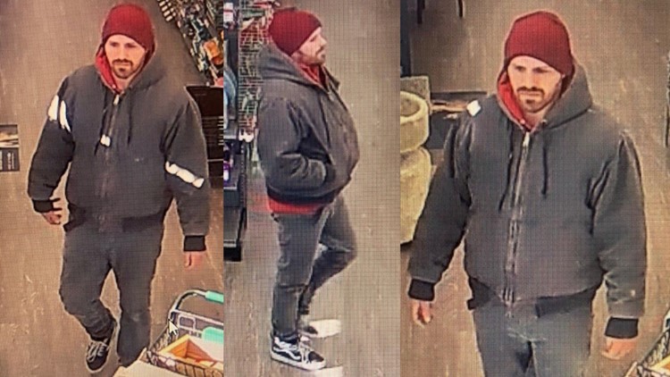 Man caught on camera stealing cat from pet shop | wzzm13.com