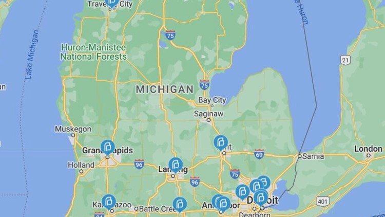 Looking at the data: Abortions in Michigan