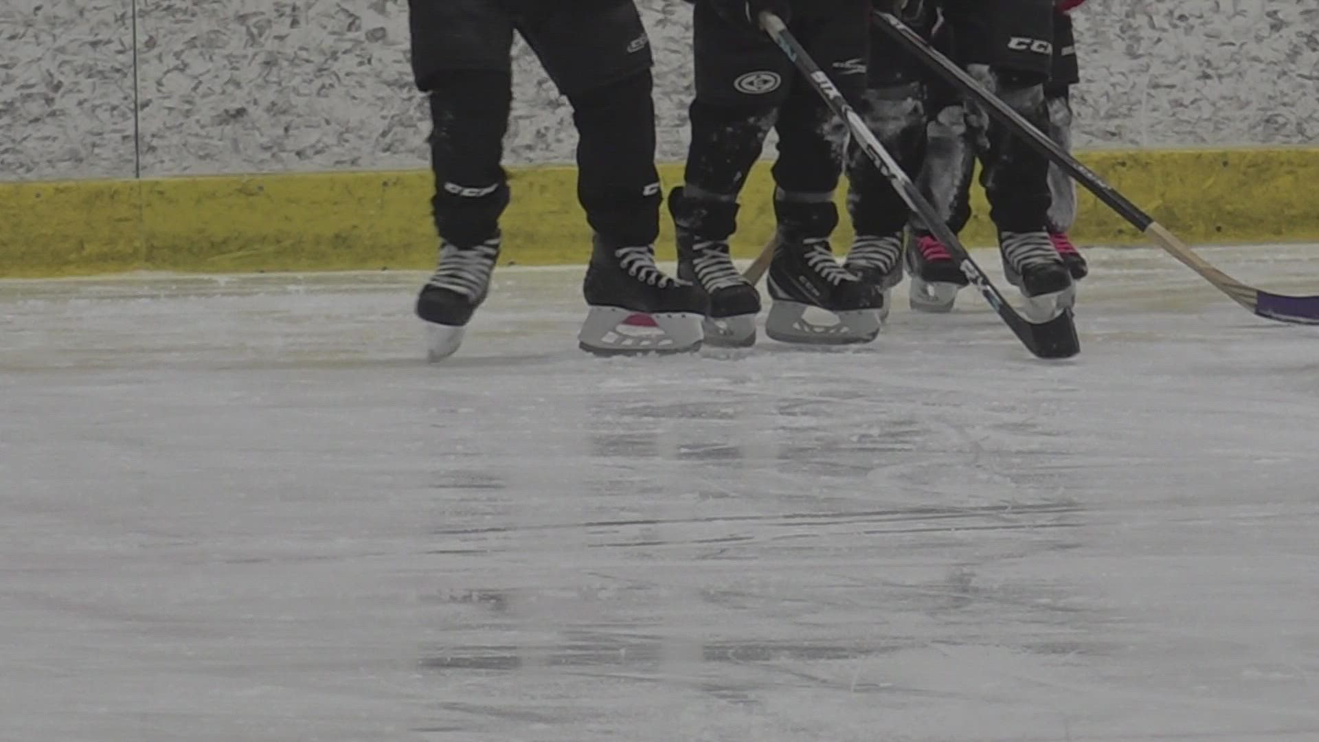 Heres how you can try hockey for free this weekend wzzm13