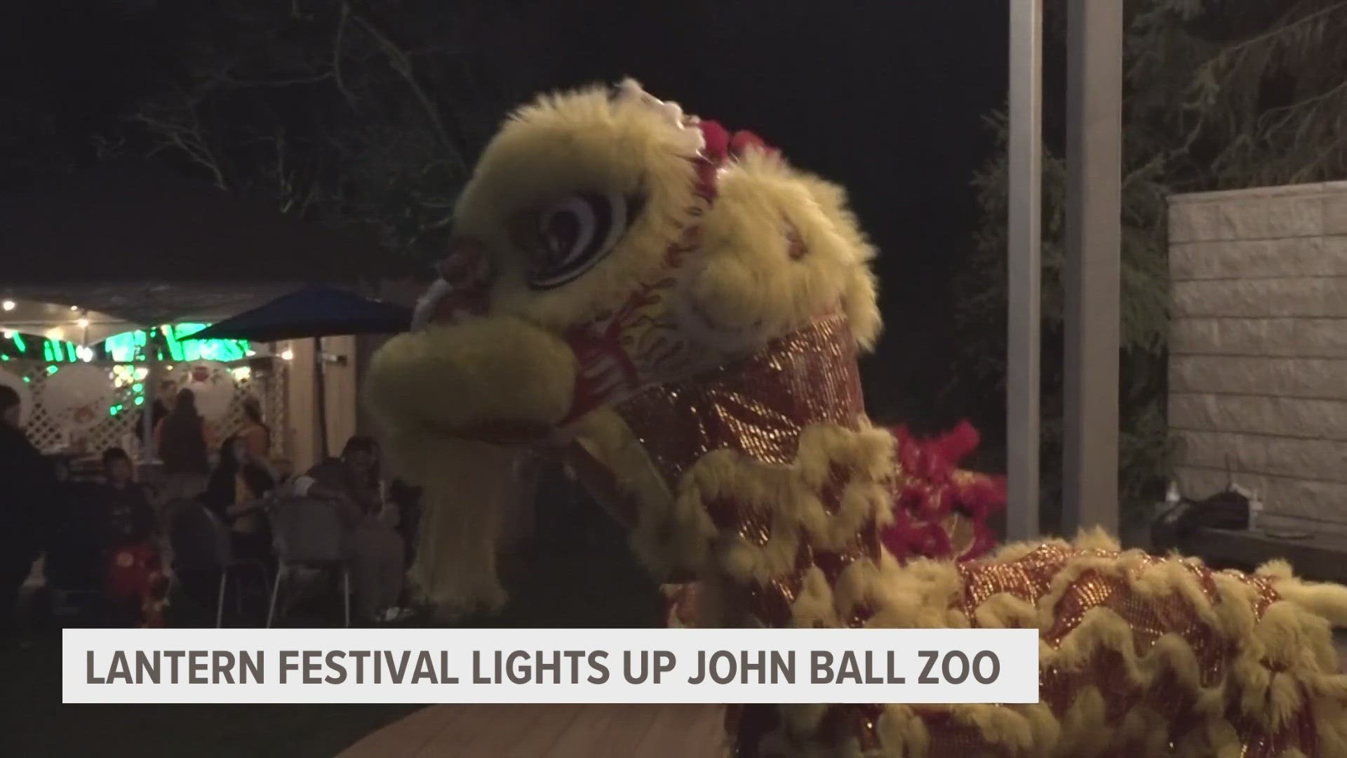 The festival is a 10-week celebration of Asian culture and conservation, bringing intricate lanterns to the zoo.