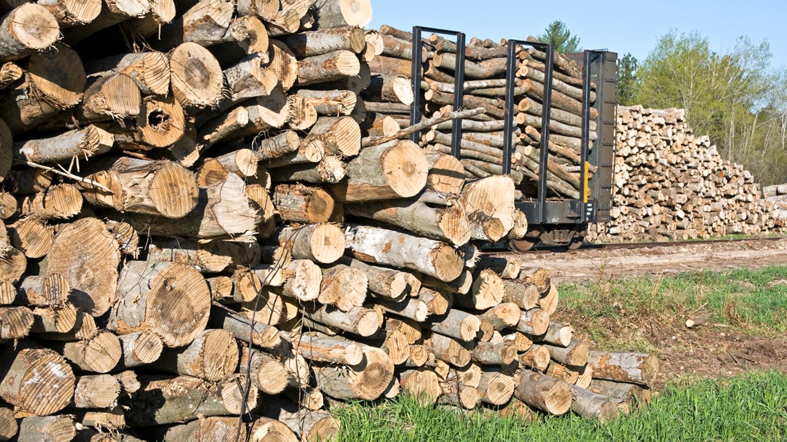 Logging company buys 550K acres of UP timberland for 300M