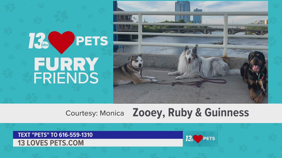 Furry Friends:  September 29, 2022 | Zooey, Ruby & Guinness and Ares