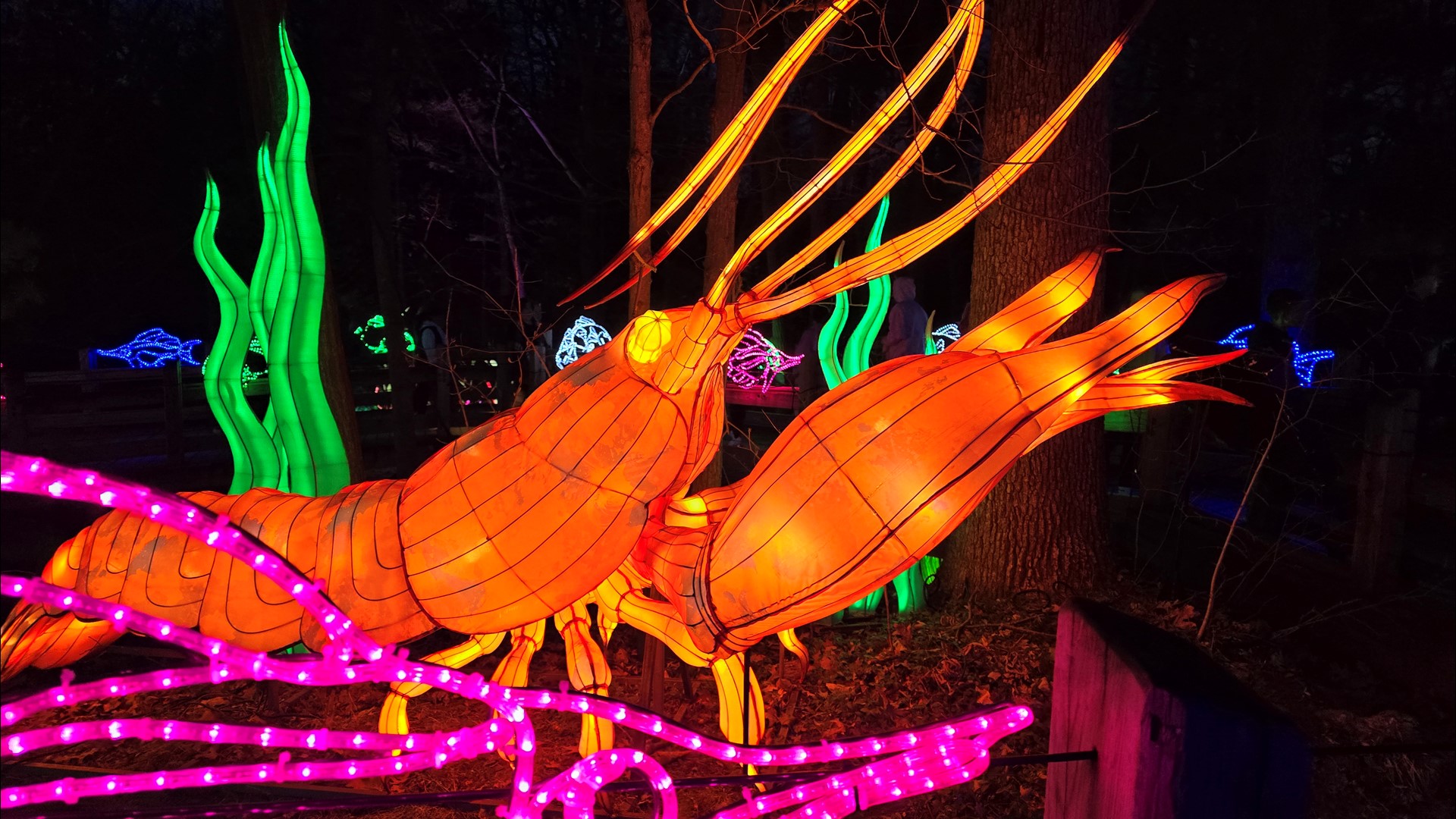 See John Ball Zoo's Lantern Festival