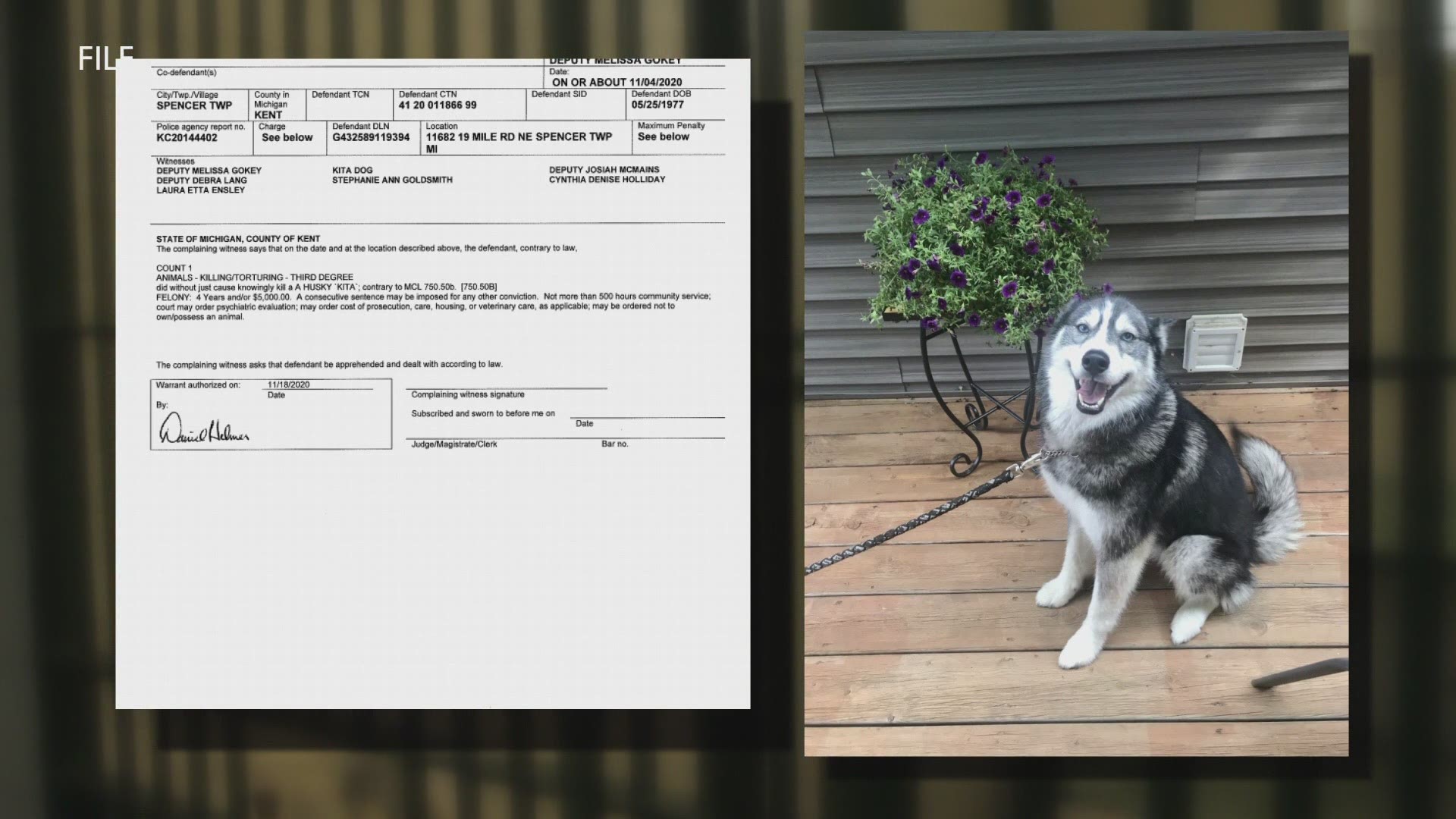 The deadly shooting of a Siberian husky named Kita happened in early November in northern Kent County’s Spencer Township.