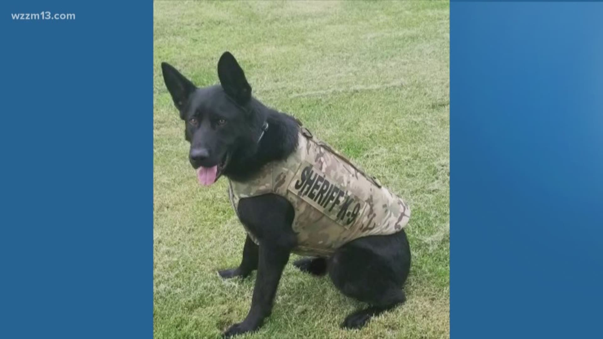 Allegan Co. K9 gets a new vest