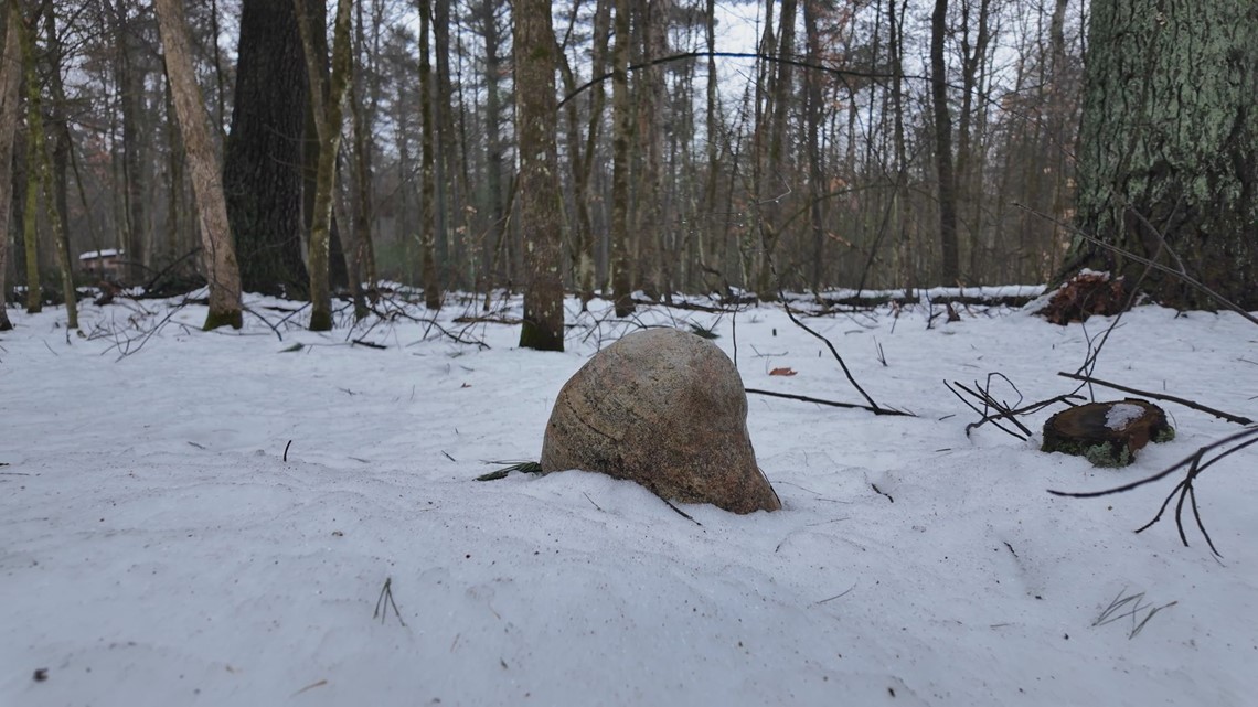 Couple suing Brooks Township over cemetery ban as they look to start that state's first green cemetery - Vimarsana News