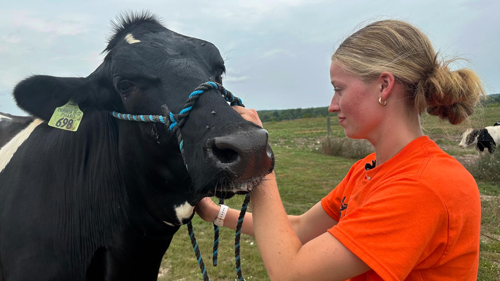 States across the country have implemented strict restrictions around livestock after an outbreak of avian influenza, commonly referred to as “bird flu.”