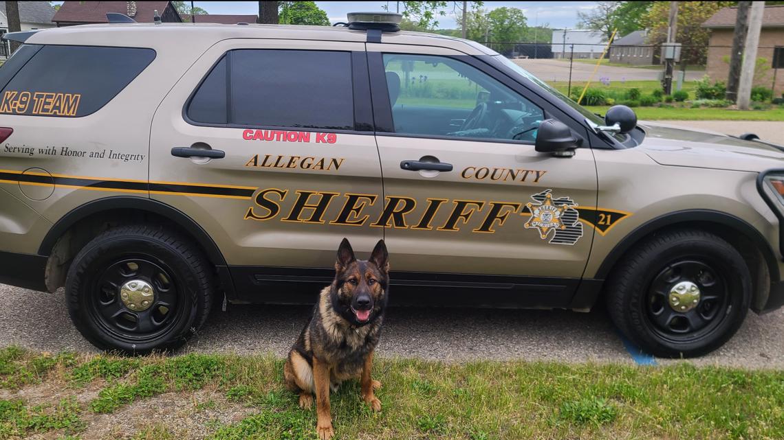 Allegan County K9 gets a new protective vest