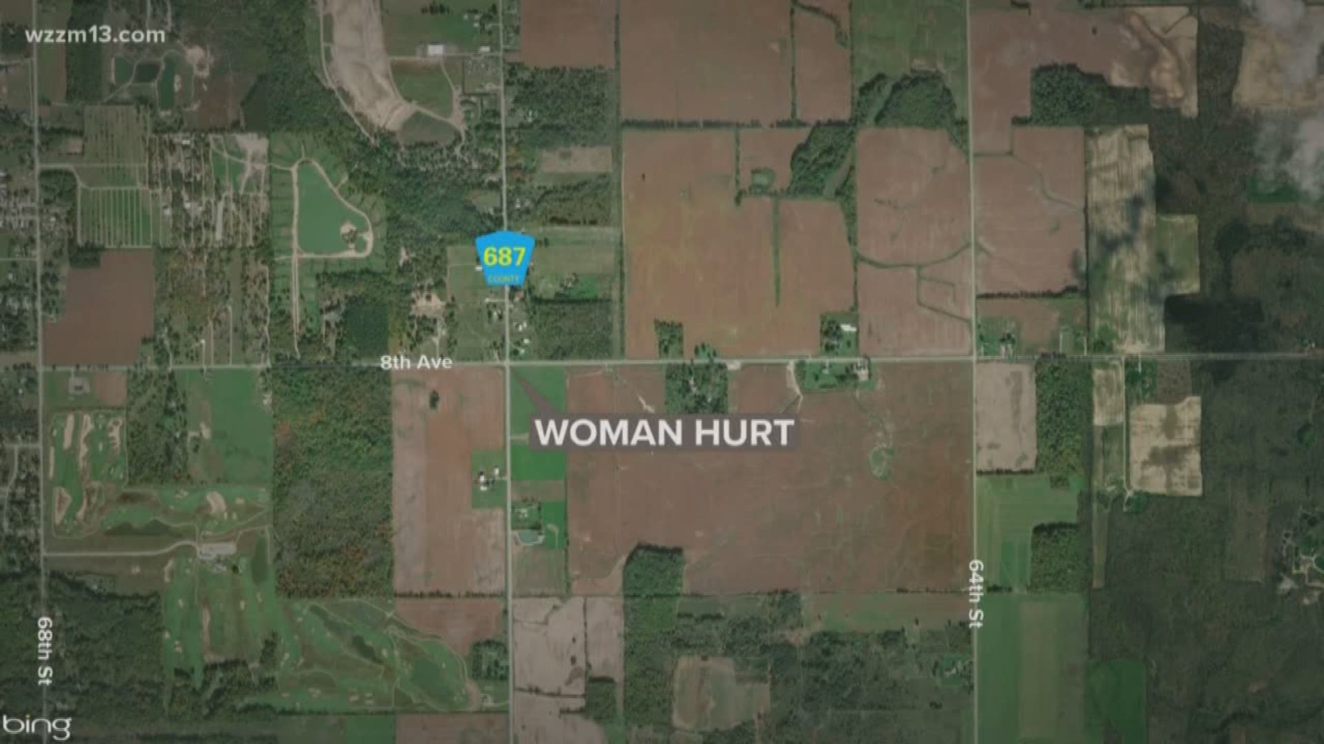 A 27-year-old South Haven woman is in the hospital with serious injures after police say she jumped from a moving vehicle.