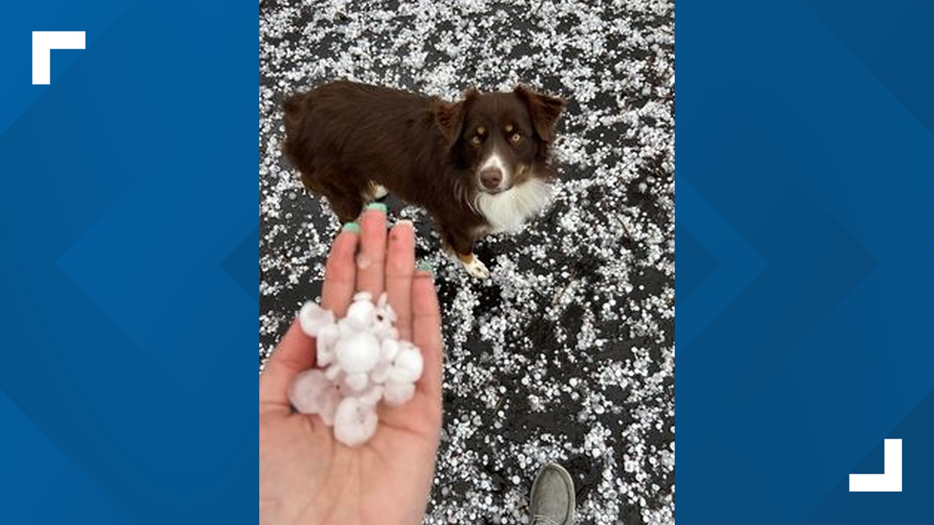 Large Hail Hits West Michigan | wzzm13.com