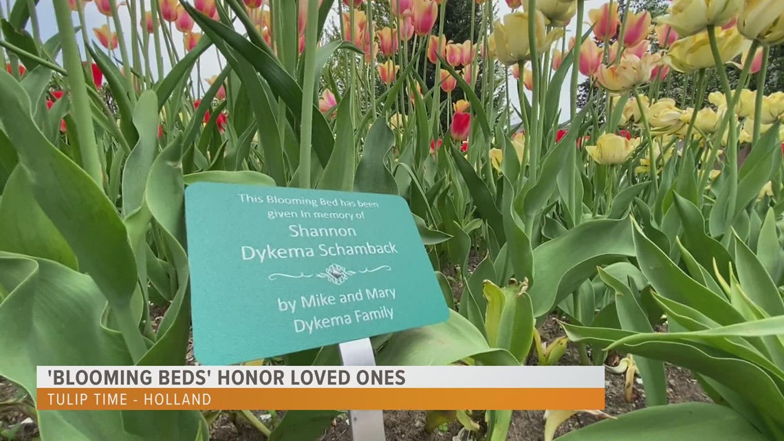 Tulip Time's 'Blooming Bed' program honors loved ones