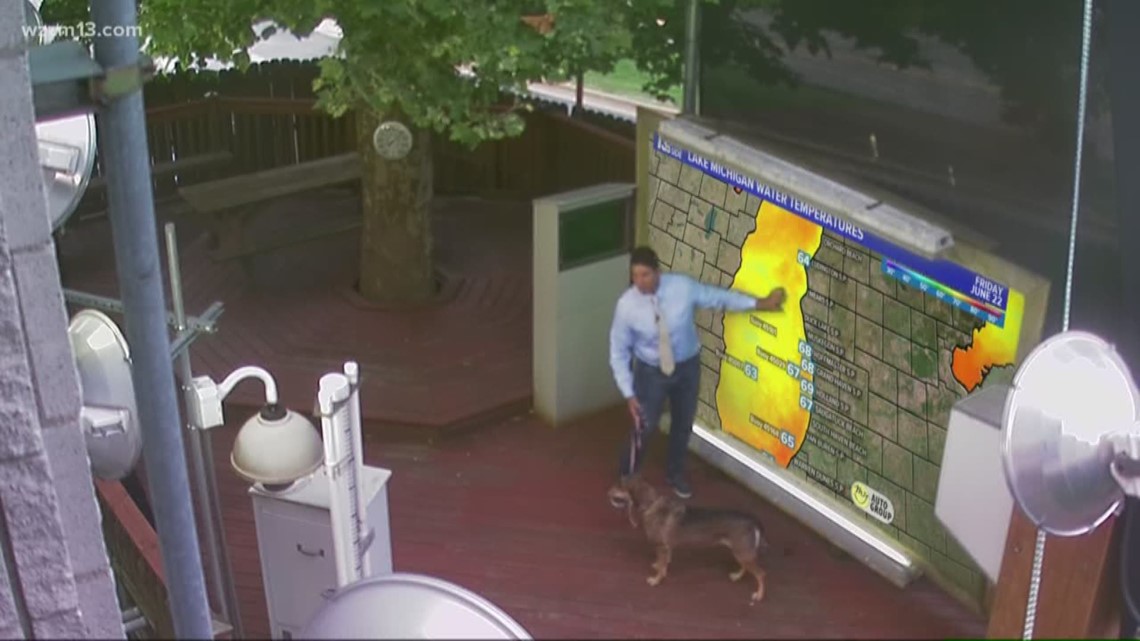 Harmony the dog helps Meteorologist Aaron Ofseyer tell the forecast on
