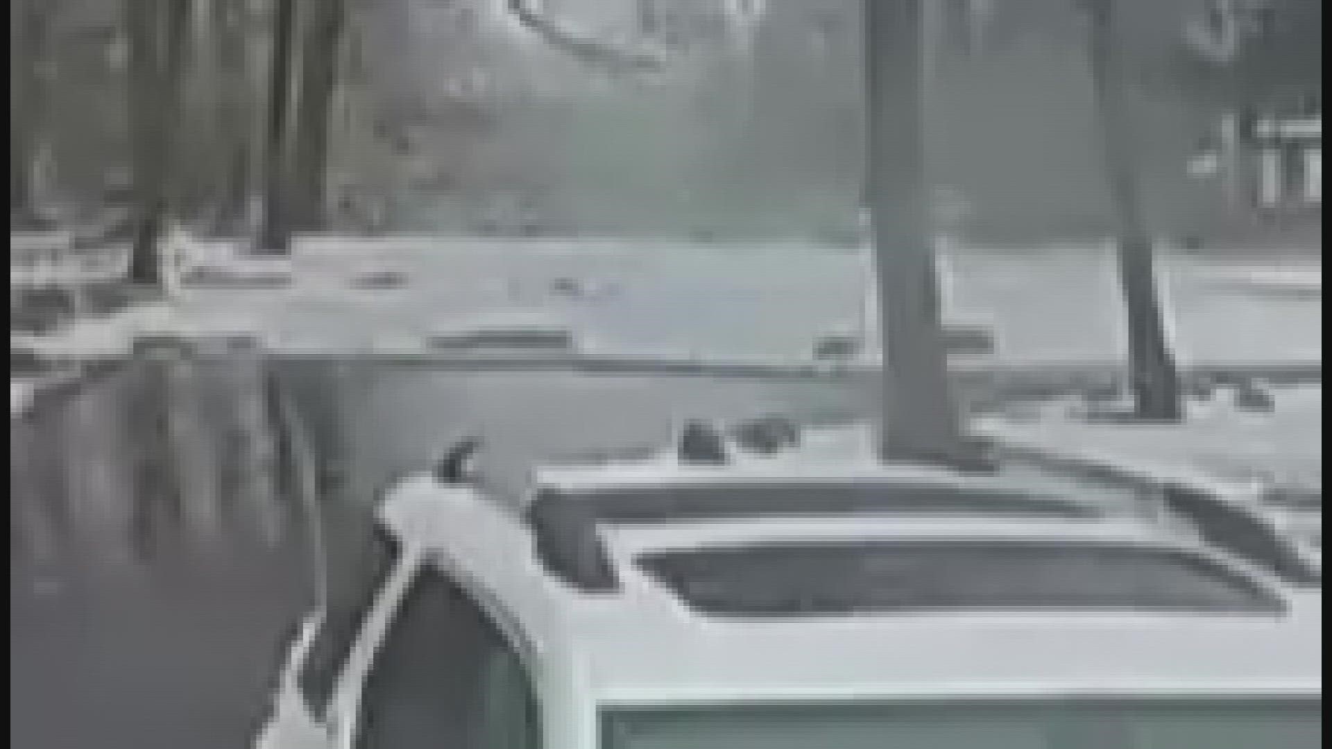 Jake Wielhouwer shared this surveillance video that shows a small tree coated with ice fall onto his yard Monday morning.