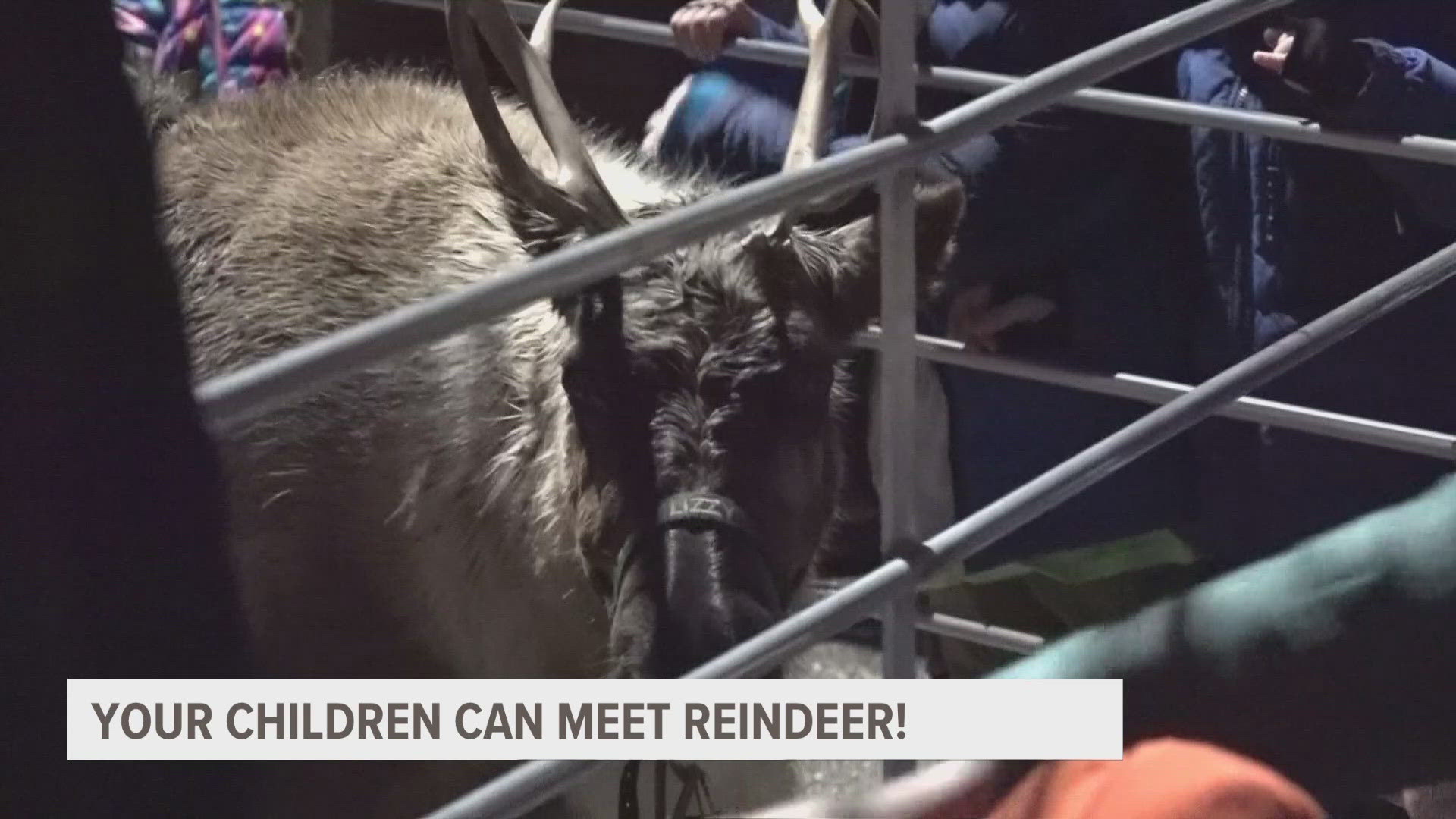 A Michigan-based reindeer farm will be bringing their animals to several Kent District Library locations to meet children.