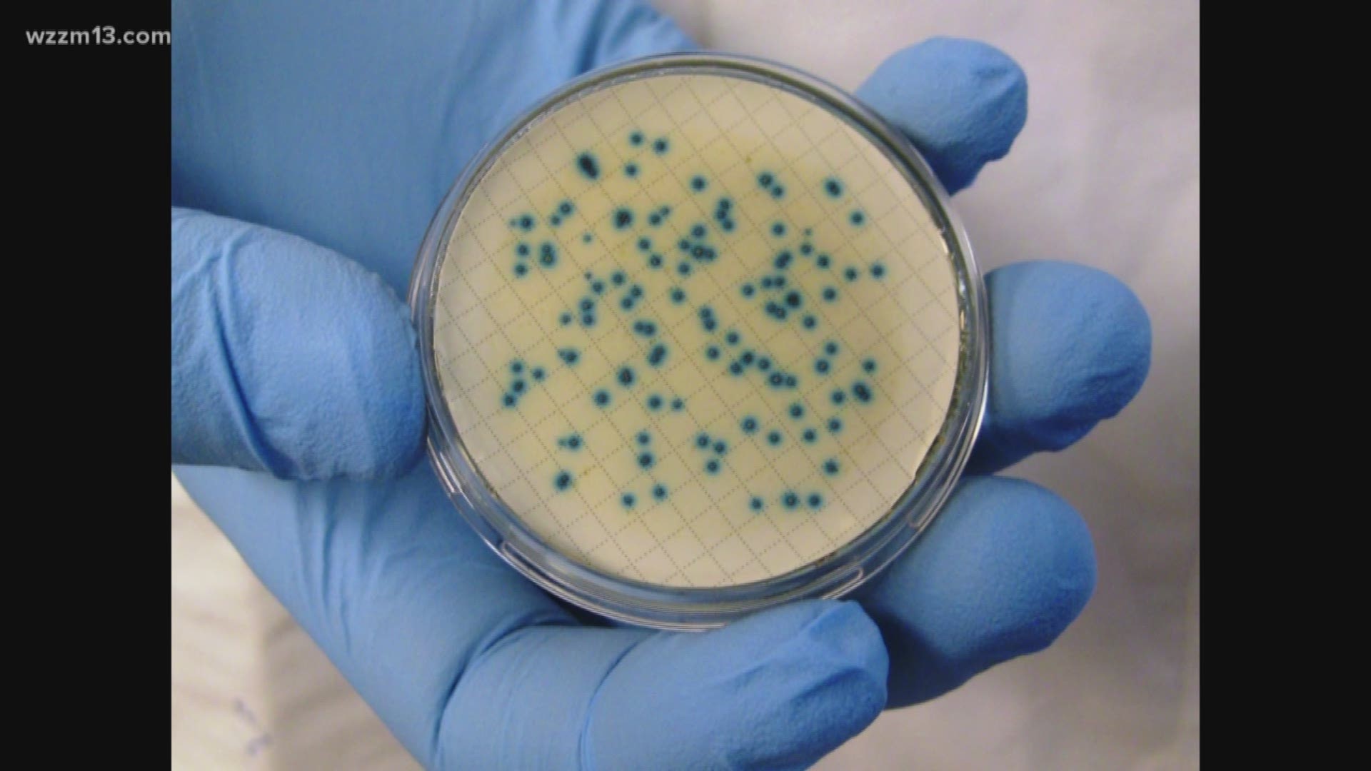 Verify: Invasive species and E. coli