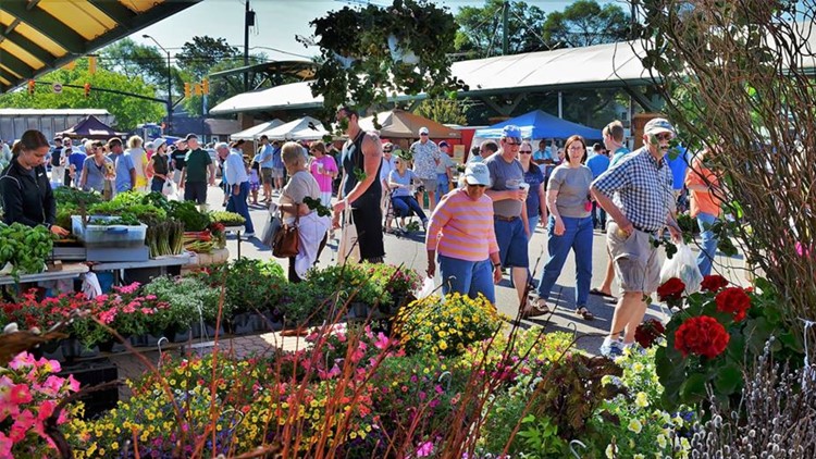 Holland Farmers Market to launch new program for kids this week | wzzm13.com
