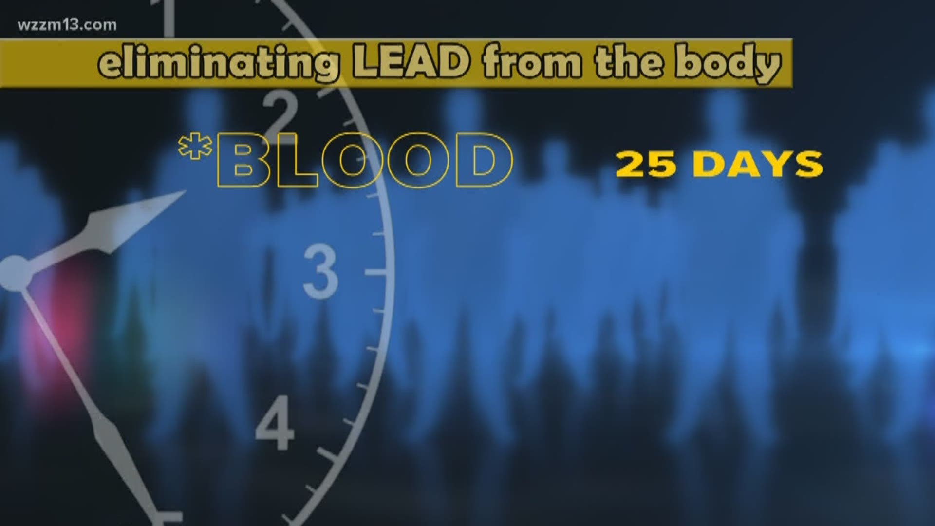 A look at lead's impact on your health