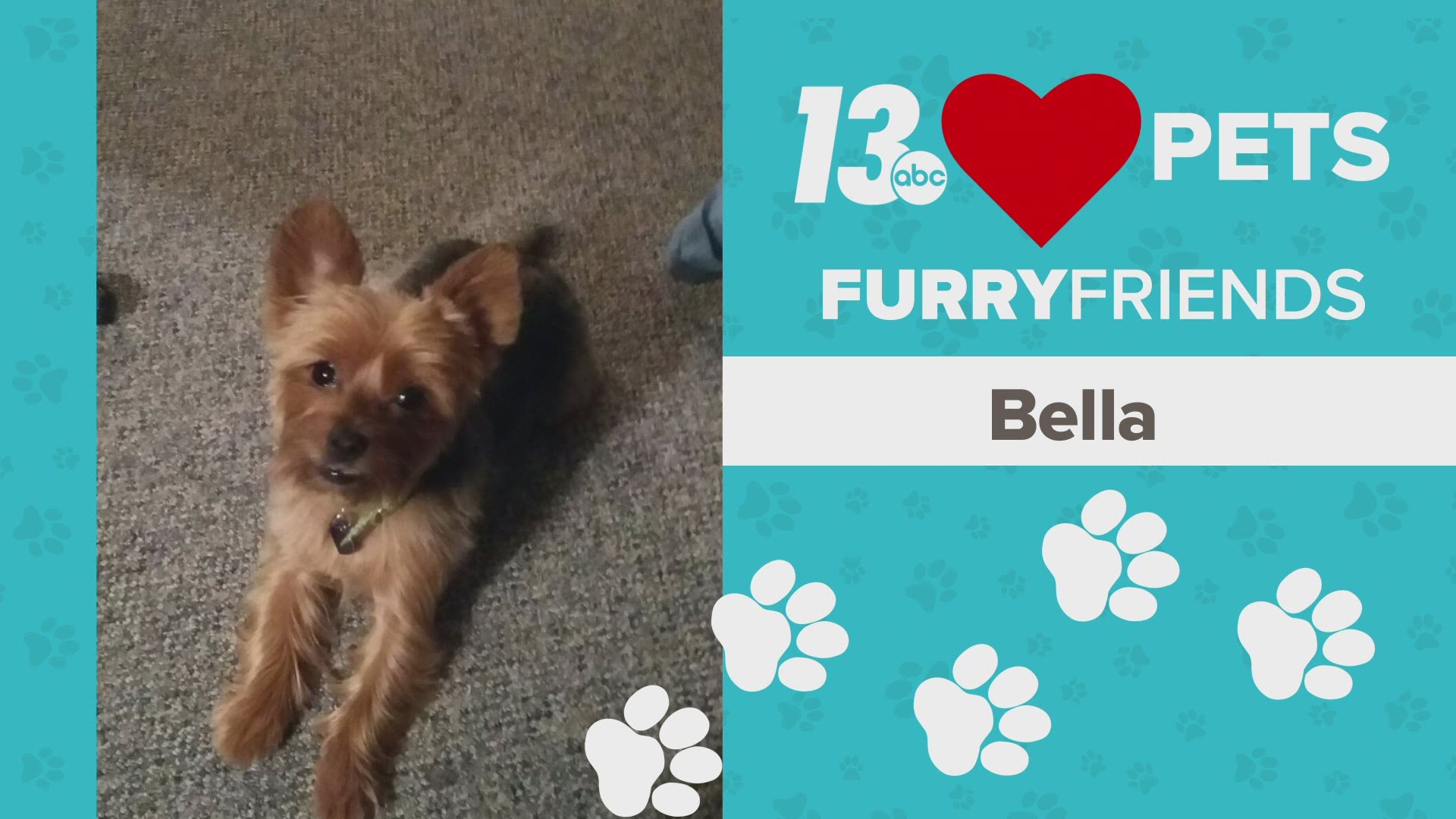 Monday's Furry Friend was Bella!