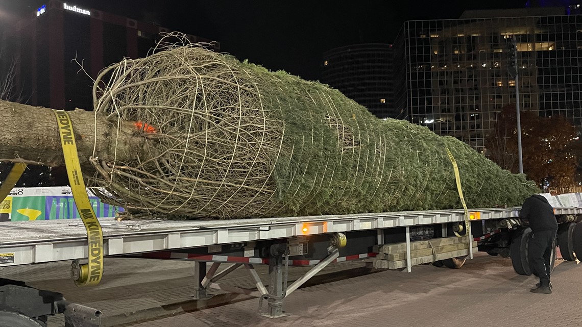 Crews install official Grand Rapids Christmas tree